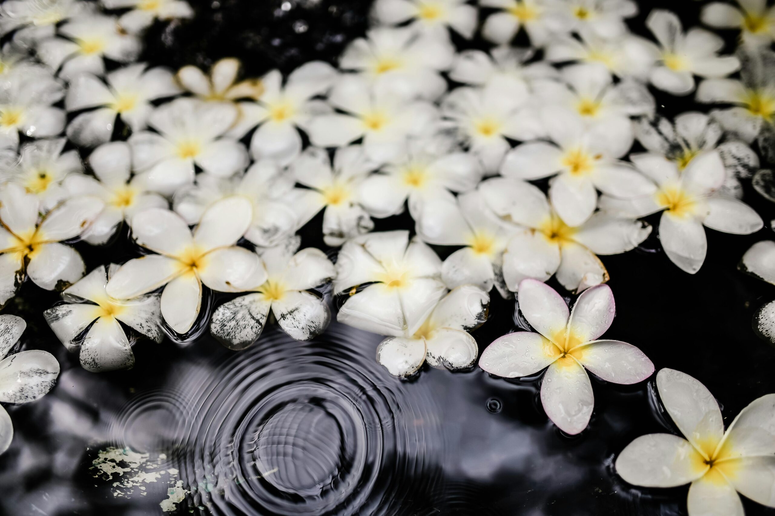 Pista ng Sampaguita